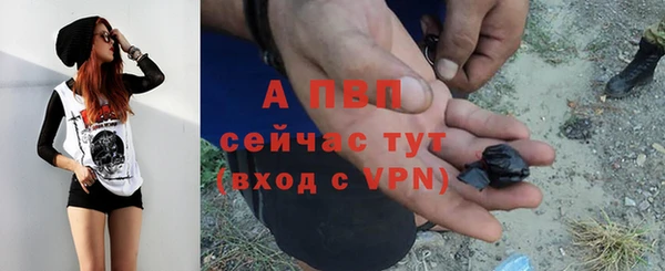 прущие грибы Беломорск
