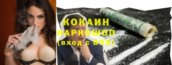 прущие грибы Беломорск