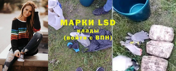прущие грибы Беломорск