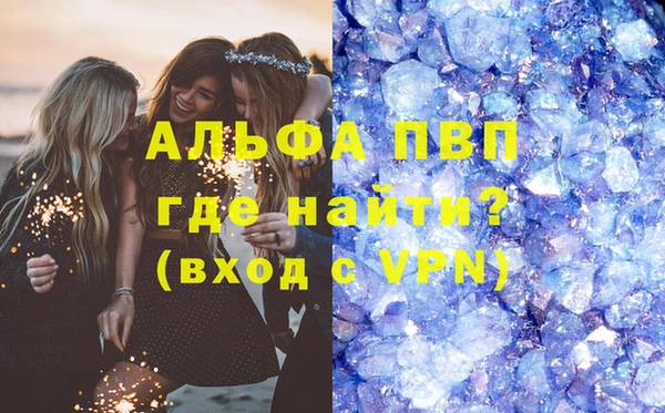 прущие грибы Беломорск