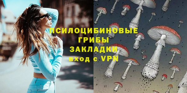 круглые Белокуриха