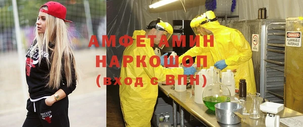 прущие грибы Беломорск