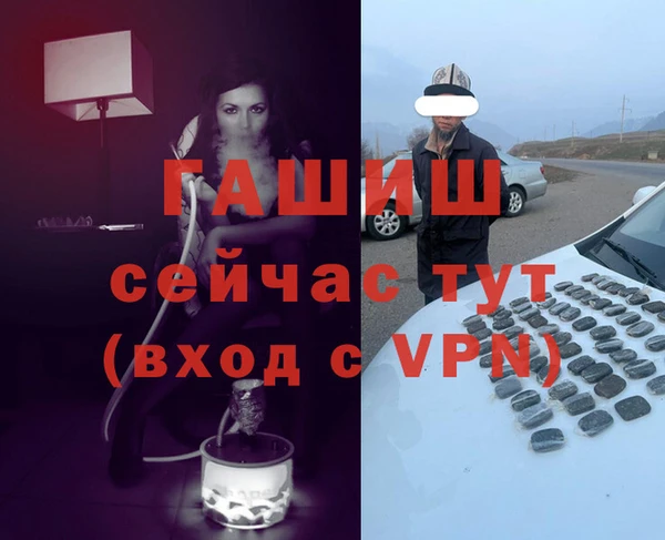 прущие грибы Беломорск