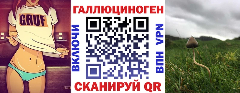 Псилоцибиновые грибы мицелий  Купить закладки  Верея 